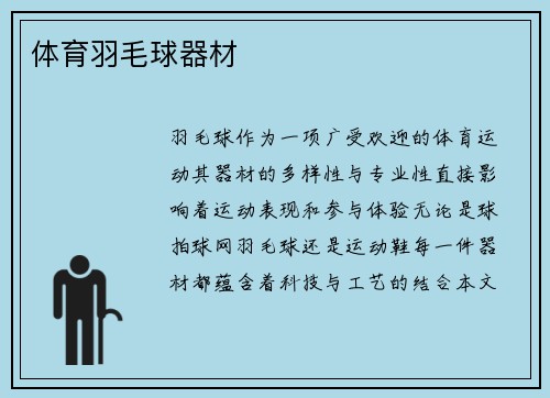 体育羽毛球器材